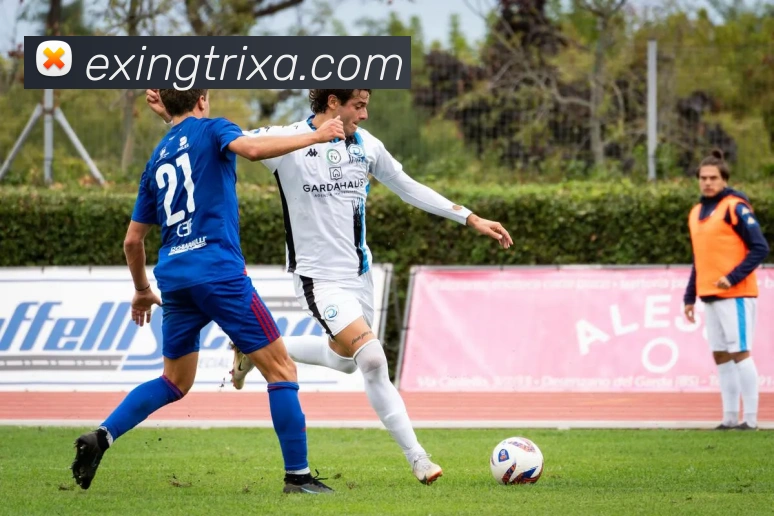 e星体育APP 高清赛事图